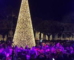 Piazza della Repubblica - Albero di Natale