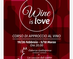 Corso di approccio al vino "Wine is Love" al Gattapone