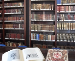 Biblioteca Comunale - Storia