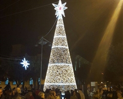 il grande albero di Natale in Piazza della Repubblica