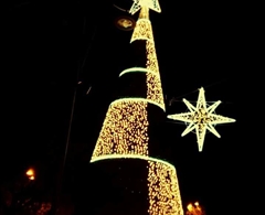 il grande albero di Natale in Piazza della Repubblica